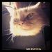 Profile Picture of Kai Schadwinkel (@kaischadwinkel) on Pinterest