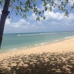 Profile Picture of David Edghill (@edghilldavid) on Instagram