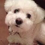 Profile Picture of Patricia Keating (@keating_patricia) on Instagram