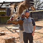 Profile Picture of David Auerbach (@_violadave) on Instagram