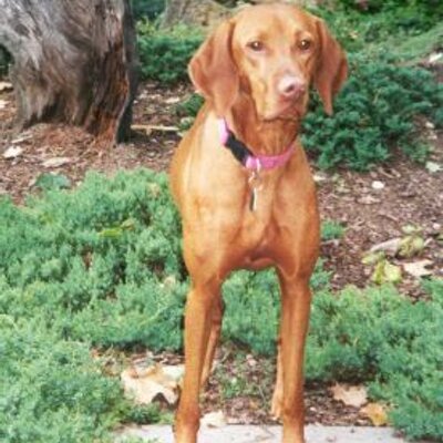 Profile Picture of Agueda Moreno (@MorenoAgueda) on Twitter