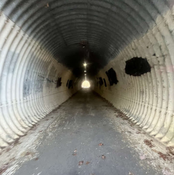 Profile Picture of Illahi Khan (@illahik123) on Poshmark