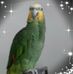 Profile Picture of Kevin Criddle (@kevin.criddle.505) on Facebook