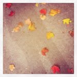 Profile Picture of sheetskelsey (@sheetskelsey) on Instagram