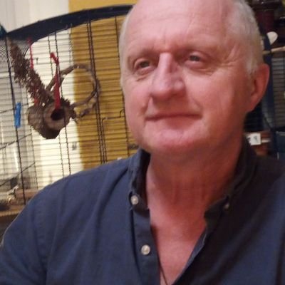 Profile Picture of Andy Niklaus (@ANiklaus4) on Twitter