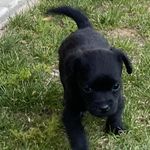 Profile Picture of Steven Speranza (@steve_a_s) on Instagram