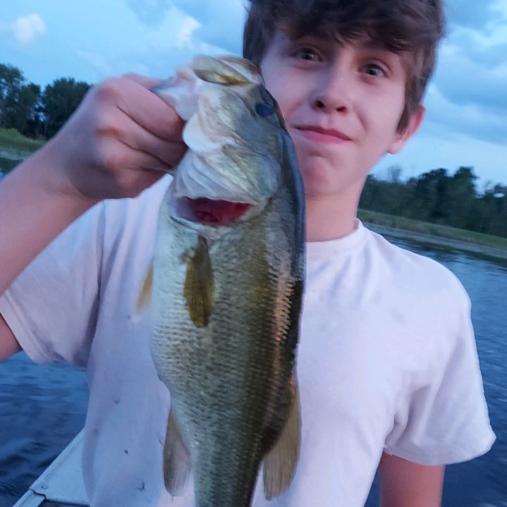 Profile Picture of Chris Wagner (@chriswagner45) on Tiktok