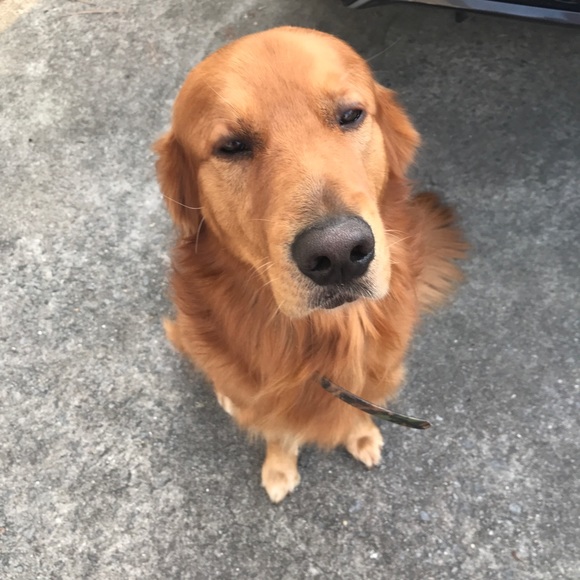 Jason Karavan - Poshmark Profile Picture of Jason Karavan (@trigger934) on Poshmark