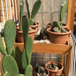 Profile Picture of Eric Norbert Strebel (@eric_norbert_strebel) on Instagram