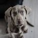 Profile Picture of Donna Buckel (@donna.buckel.92) on Facebook