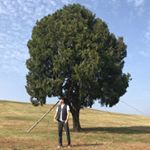 Profile Picture of 태 환 (@zaactae) on Instagram