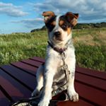 Profile Picture of Wilma Larsen (@wilmalarsen52) on Instagram