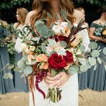 Profile Picture of Lisa Chrisman (@meadowdanceplanners) on Instagram