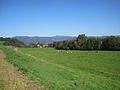 Profile Picture of Dreisam Valleyon Wikipedia