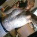 Profile Picture of Joel Atwell (@joel.atwell.98) on Facebook
