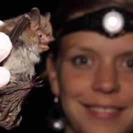 Profile Picture of Andrea Rasche (@andrea_rasche) on Twitter