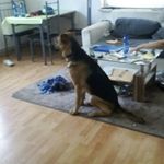 Profile Picture of Jason Seubert (@seubertjason) on Instagram