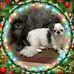 Profile Picture of Gene Rosenfeld (@gene.rosenfeld.5) on Facebook