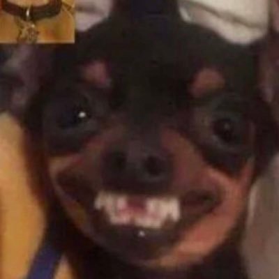 Profile Picture of Jasmine Potter (@Jasminepotter07) on Twitter