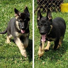 Profile Picture of Dottie Cox Ritenour (@dottieritenour) on Tiktok