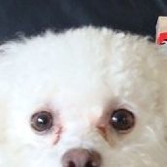 Profile Picture of Mary Tomasoski (@mmftb) on Poshmark