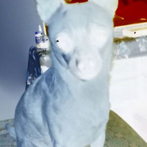 Profile Picture of Katherine Helm (@katherine.helm) on Tiktok