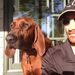 Profile Picture of Todd Sparrow (@sparrow2070) on Pinterest