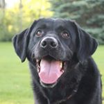 Profile Picture of Kelly Reed Mouser (@kelly.mouser) on Instagram