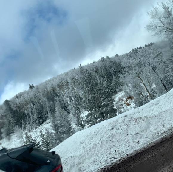 Profile Picture of Axel Flores (@axel100) on Poshmark