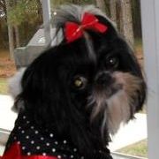 Profile Picture of Debbie Sellers (@dsellers2) on Pinterest