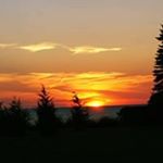 Profile Picture of Mary Andrew (@pins2needles55) on Instagram
