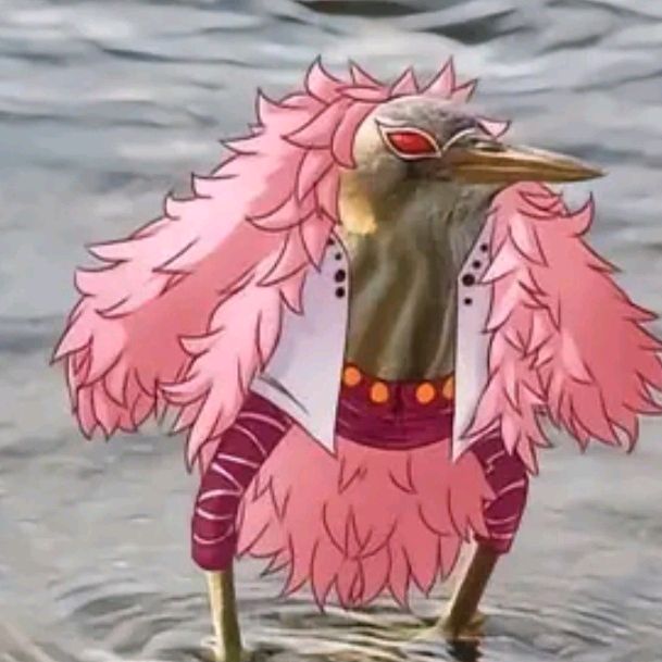 Profile Picture of Aza (@brianrme) on Tiktok