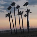 Sunshine Sanchez - Instagram Profile Picture of Sunshine Sanchez (@navrrsunshine) on Instagram