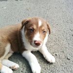 Profile Picture of Arthur Pugh Roberts (@arthur_roberts) on Instagram