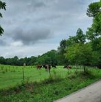 Profile Picture of Matt Teegarden (@blympye39) on Facebook