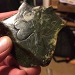 Profile Picture of Michael Niebauer (@mpniebauer) on Instagram