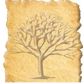 Profile Picture of Ann Marie Coghlan (@familyandpast) on Twitter