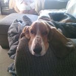 Profile Picture of Brendan Cummins (@mister.history) on Instagram