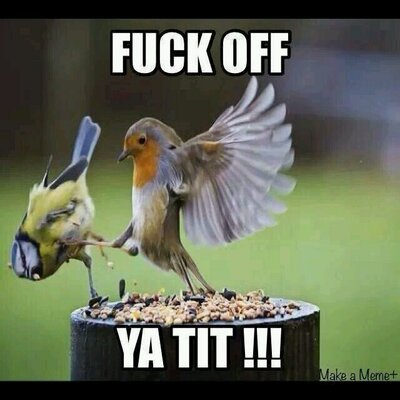 Profile Picture of Daniel Hibbard (@hibbard_daniel) on Twitter