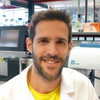 Profile Picture of Miguel R. Guerreiro (@guerreiromr) on Twitter