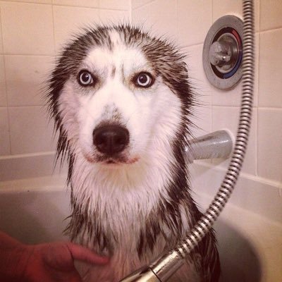 Profile Picture of Lucy Ibbotson (@bezzin7) on Twitter