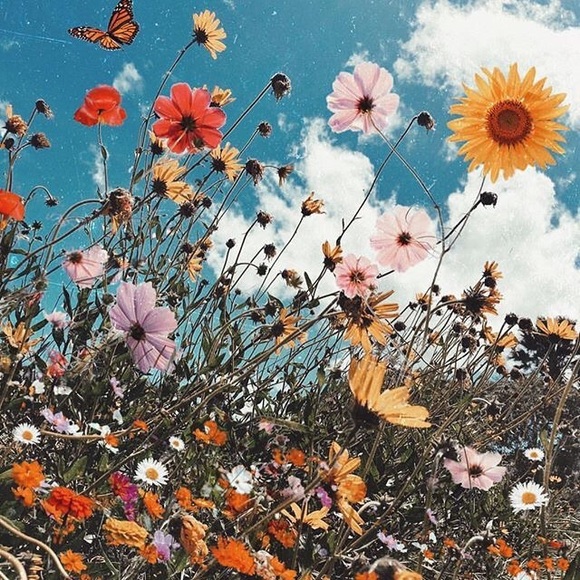 Profile Picture of Sophia Sharpe (@sophiarsharpe) on Poshmark