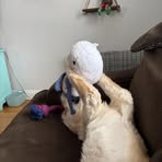 Profile Picture of Michael Sarnowski (@Michael-Sarnowski) on Facebook