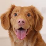 Profile Picture of mythic_jamesBTW (@shakosalih11) on Instagram