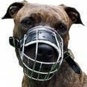 Profile Picture of Glenn Ramsey (@267428447) on Myspace