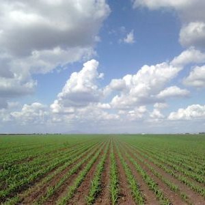 Profile Picture of Perfecto Jose Rivera (@perfectojoseri1) on Twitter