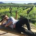 Profile Picture of Max Kaufman (Moshe) (@max.kaufman.37) on Facebook