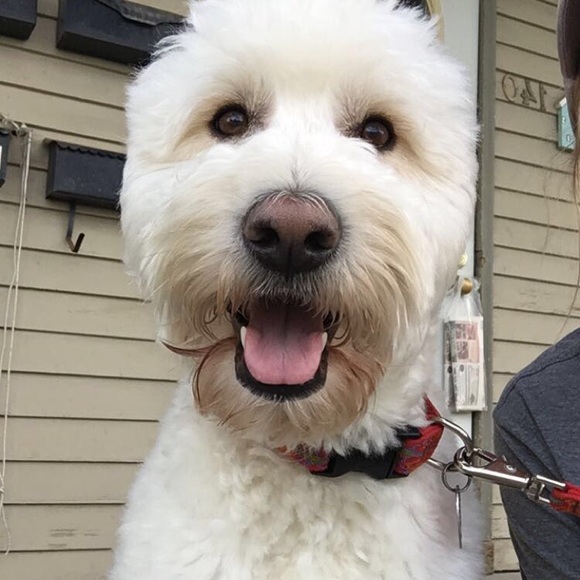 Profile Picture of Emily Andrews (@emseeev) on Poshmark