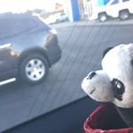 _jimmy_quan_ - Instagram Profile Picture of _jimmy_quan_ (@_jimmy_quan_) on Instagram