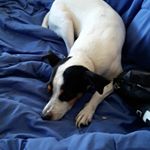 Profile Picture of amandapulidomilla (@amandapulidomilla1) on Instagram